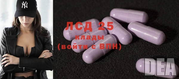 стаф Абинск