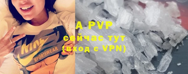 стаф Абинск
