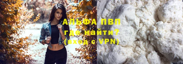 стаф Абинск