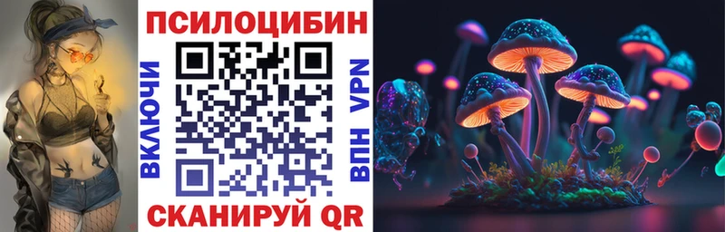 цена   Ивангород  Псилоцибиновые грибы Cubensis 
